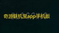 奇游联机宝app手机版