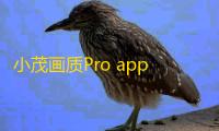 小茂画质Pro app安卓版v6.1